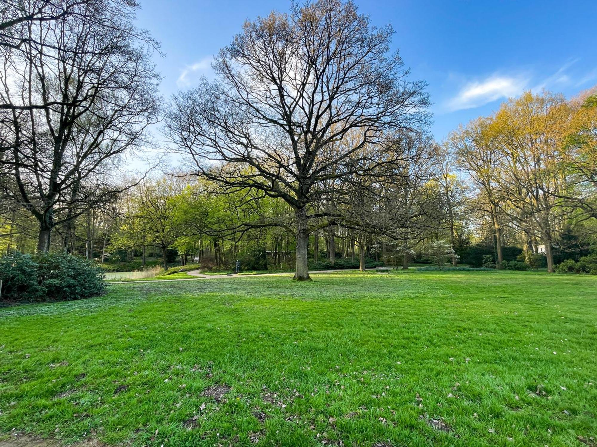 Landhaus Beim Knoops Park BRE エクステリア 写真