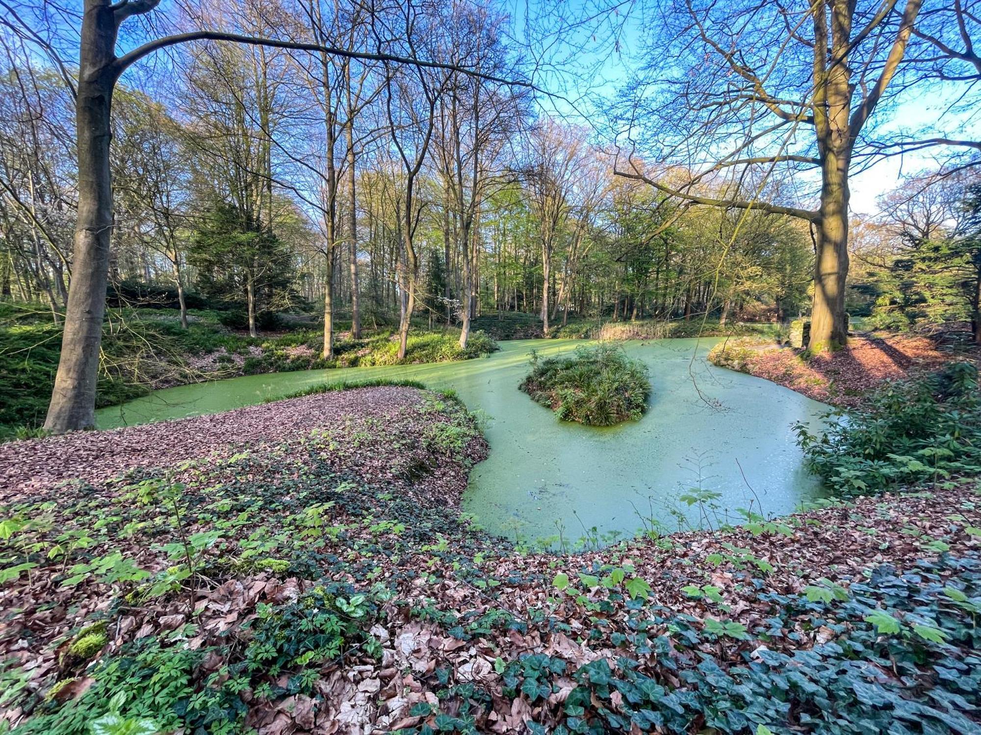 Landhaus Beim Knoops Park BRE エクステリア 写真