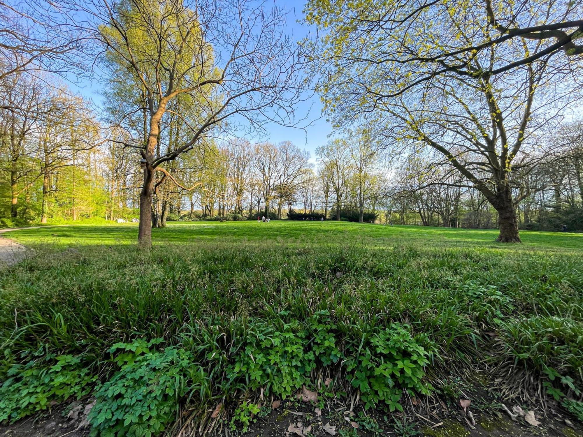Landhaus Beim Knoops Park BRE エクステリア 写真