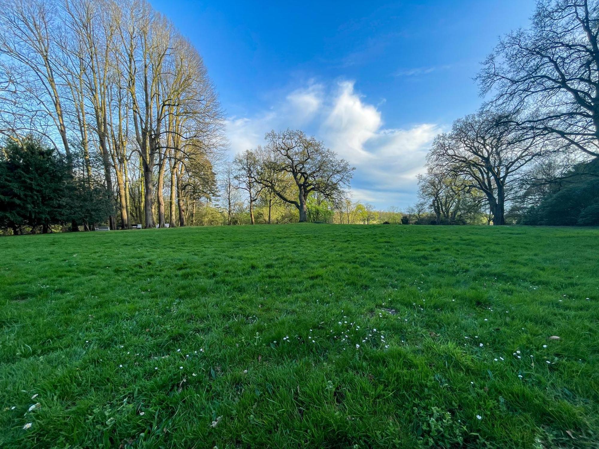 Landhaus Beim Knoops Park BRE エクステリア 写真
