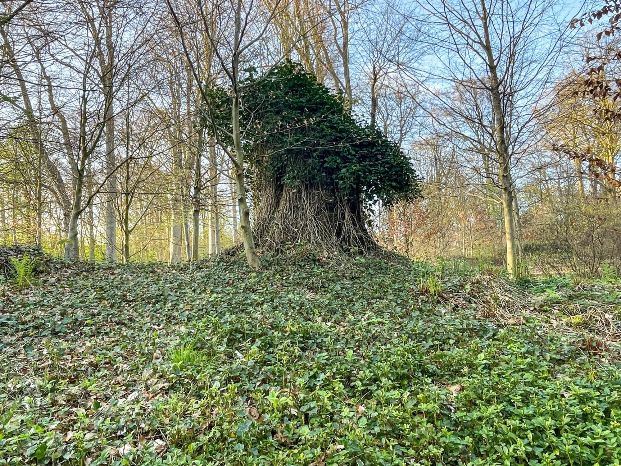 Landhaus Beim Knoops Park BRE エクステリア 写真